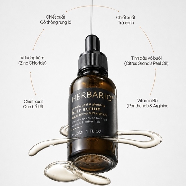 serum vo buoi bo ket herbario