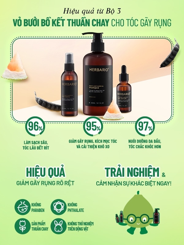 bo 3 cham soc toc herbario