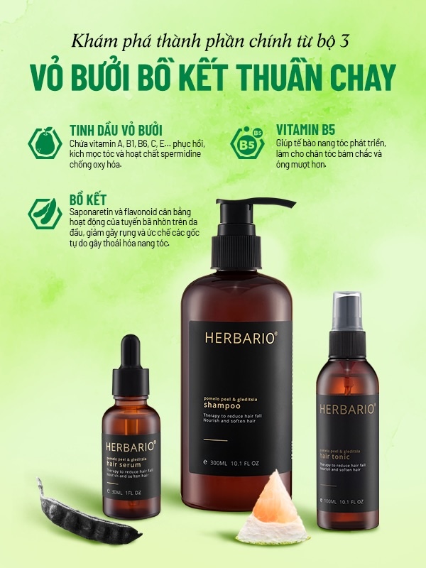 bo 3 cham soc toc herbario