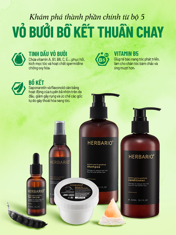 bo 5 cham soc toc vo buoi bo ket herbario