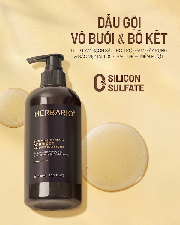 dau goi vo buoi bo ket Herbariov ban nang cap