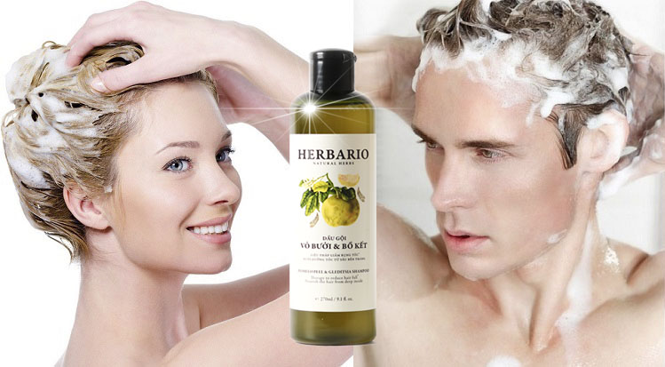 Dầu gội HERBARIO giảm rụng tóc, nuôi dưỡng tóc sâu Dầu gội HERBARIO giảm rụng tóc, nuôi dưỡng tóc sâu