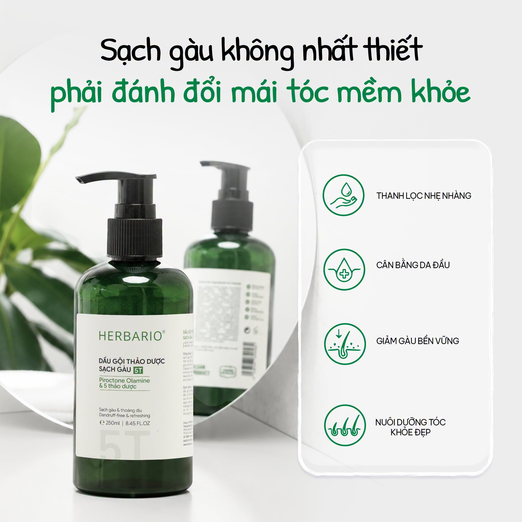 dau goi thao duoc sach gau 5T herbario