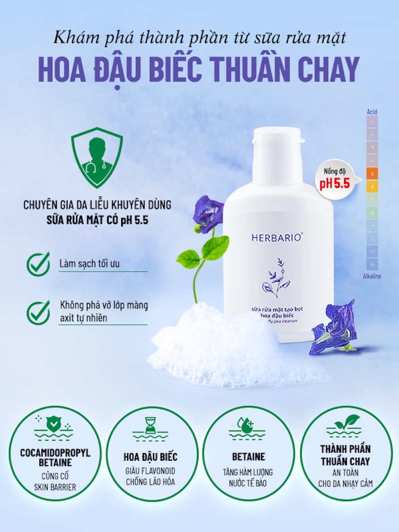 sua rua mat tao bot hoa dau biec herbario