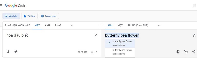 Hoa đậu biếc trong tiếng Anh gọi là “Butterfly pea flower flower”