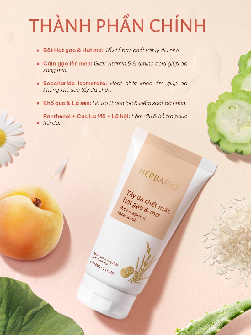 thanh phan tay da chet hat gao va mo Herbario